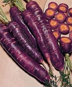 Purple Haze