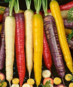 Rainbow Mix