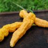 Bhut Jolokia Peach