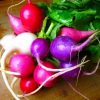 Easter Egg Blend