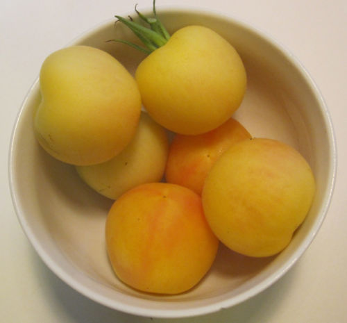 Garden Peach