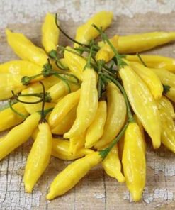 Lemon Drop