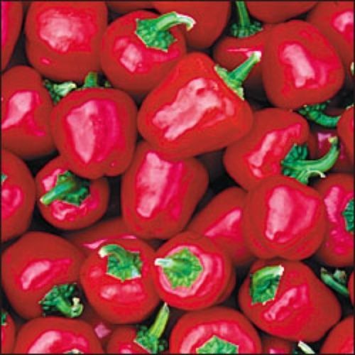 Mini Bell Red