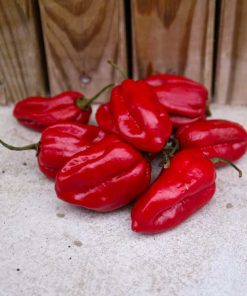 Numex Suave Red