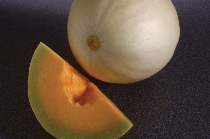 Orange Flesh Temptation