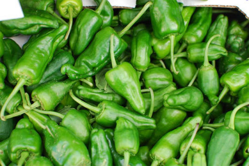 Färsk Pimentos de Padron