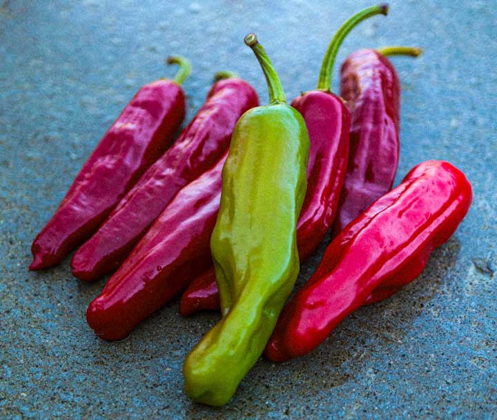 Pepperoncini Greek Golden