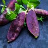 Purple Snow Pea