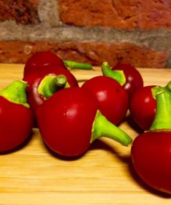Red Cherry Hot