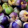 Tomatillo Purple