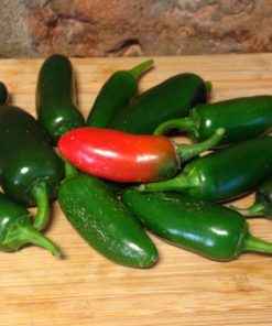 Jalapeno Mucho Nacho