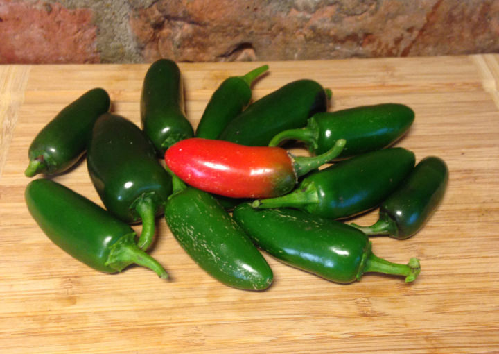Jalapeno Mucho Nacho