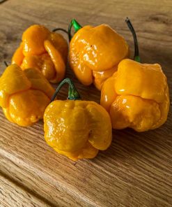 7 Pot Brain Strain Yellow