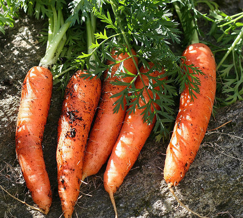 Berlicum 2