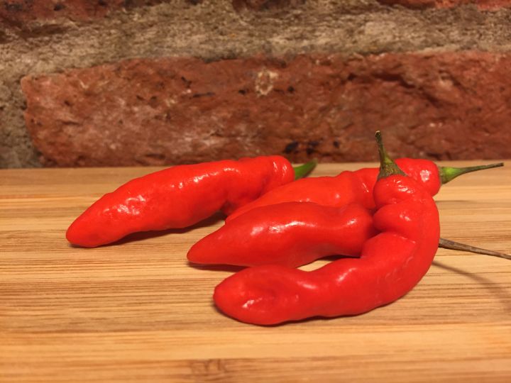 Bhut Jolokia X Trinidad Scorpion