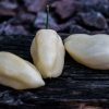 Bhut Jolokia White