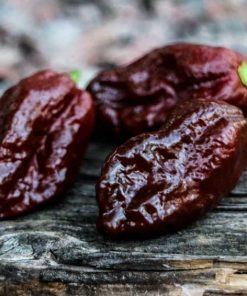 Brazilian Ghost Pepper