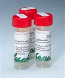 Spinnrovkvalster Phytoseiulus persimilis 500 st