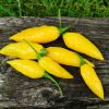 Habanero Lemon
