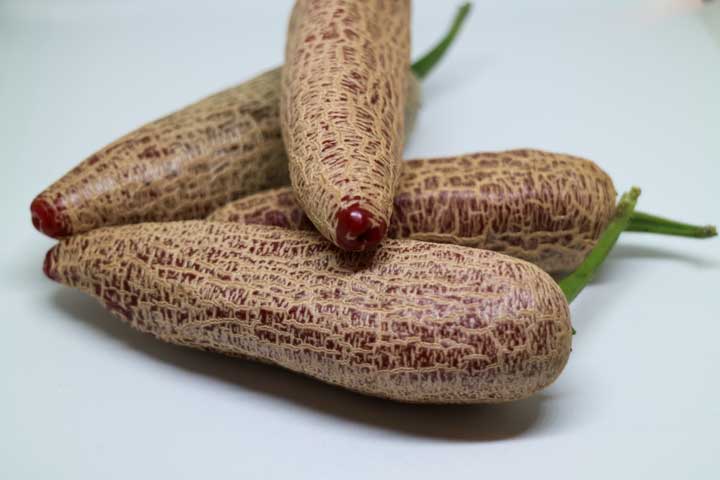 Jalapeno Farmers Market