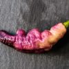 Pink Tiger