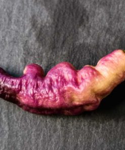 Pink Tiger