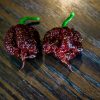 Carolina Reaper Chocolate