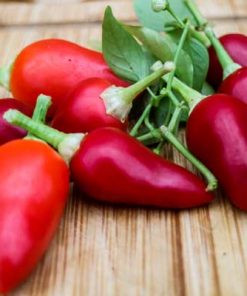 Pimenta Puta La Madre