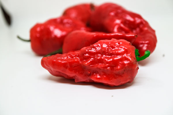 Bhut Jolokia Strain II