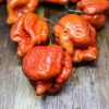 Carolina Reaper Caramel