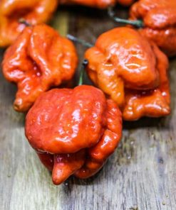 Carolina Reaper Caramel