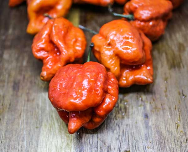 Carolina Reaper Caramel