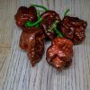 7 Pot Apocalypse Chocolate
