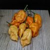 BOC x Aji Pineapple