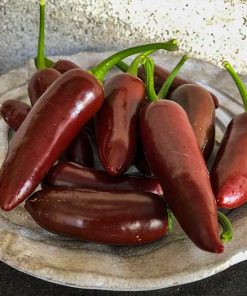 Jalapeno Brown