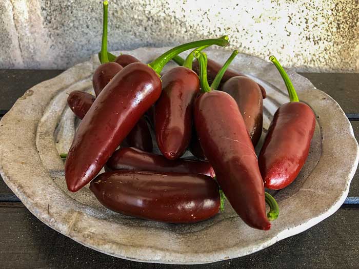 Jalapeno Brown