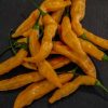Aji Melocoton