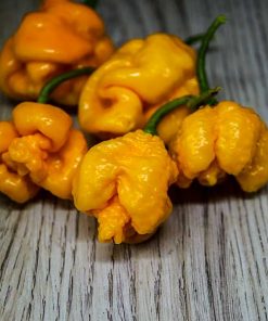 Carolina Reaper Yellow