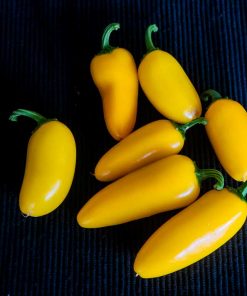 Jalapeno Lemon Spice