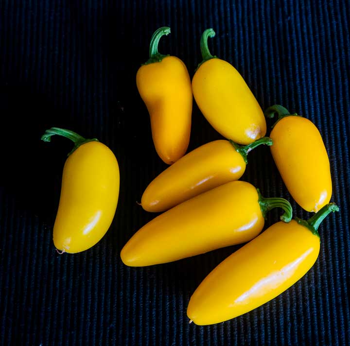 Jalapeno Lemon Spice