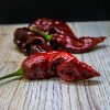 Jay´s Ghost Scorpion Chocolate