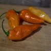 Habanada