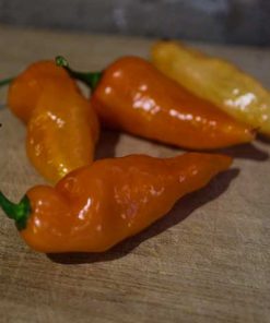 Habanada