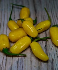 Habanero Peruvian White