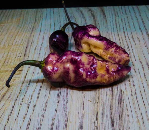 Purple Cream