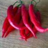Aji Colorado