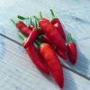 Aji Rojo