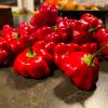 Brazilian Pumpkin