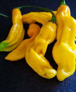 Habanero Hot Lemon