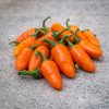 Jalapeno Orange Spice